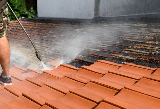 Local Pressure Washing Services in Childersburg, AL